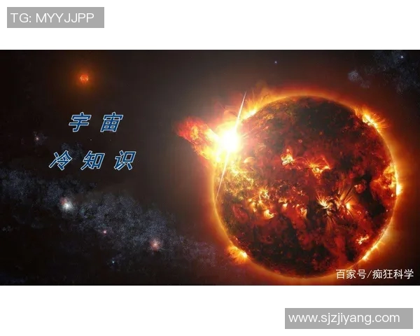 你不知道的篮球趣闻揭秘十大冷知识让你刷新认知