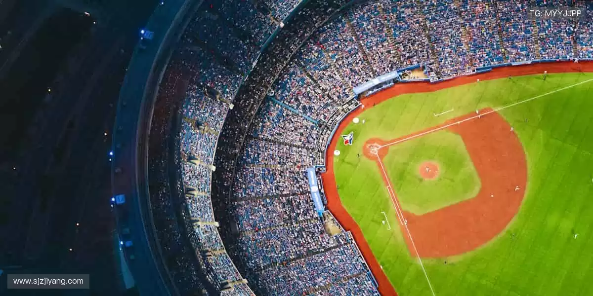 🏆巅峰对决，见证冠军诞生的荣耀瞬间！🏅